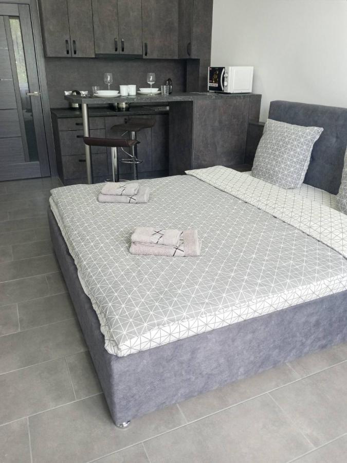 Luxury Central Apartment Ужгород Экстерьер фото